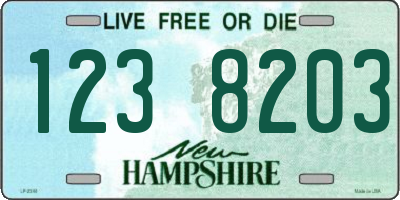 NH license plate 1238203