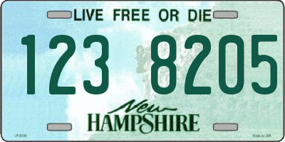 NH license plate 1238205