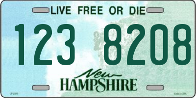 NH license plate 1238208