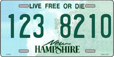NH license plate 1238210