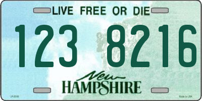 NH license plate 1238216