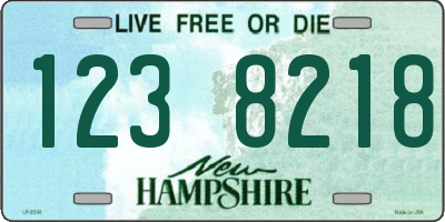 NH license plate 1238218