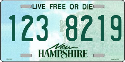 NH license plate 1238219