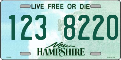 NH license plate 1238220