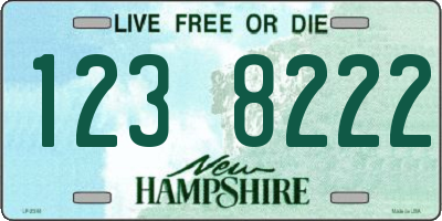 NH license plate 1238222