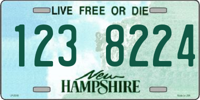 NH license plate 1238224