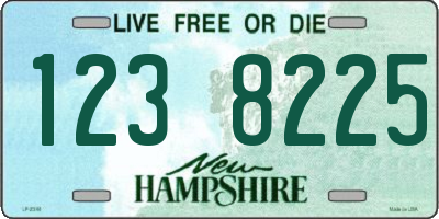 NH license plate 1238225