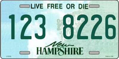 NH license plate 1238226