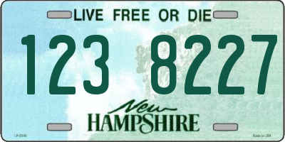 NH license plate 1238227