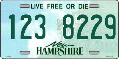 NH license plate 1238229