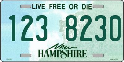 NH license plate 1238230