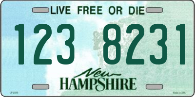 NH license plate 1238231