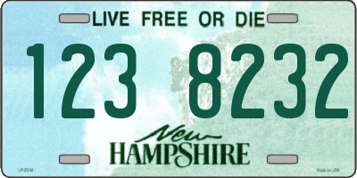 NH license plate 1238232