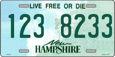 NH license plate 1238233