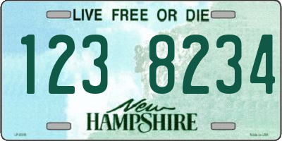 NH license plate 1238234