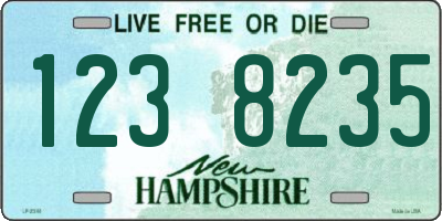 NH license plate 1238235