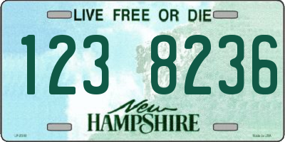 NH license plate 1238236