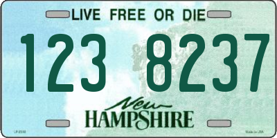 NH license plate 1238237