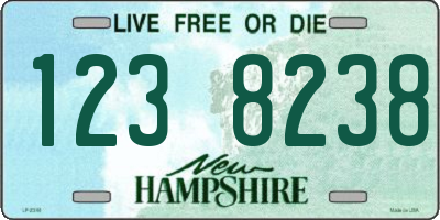NH license plate 1238238