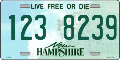 NH license plate 1238239