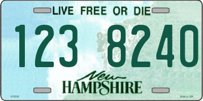 NH license plate 1238240