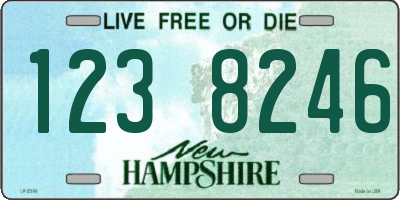 NH license plate 1238246