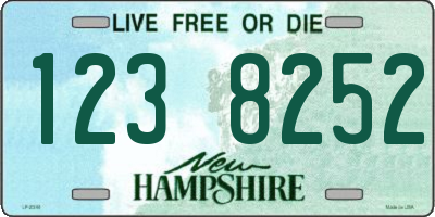 NH license plate 1238252