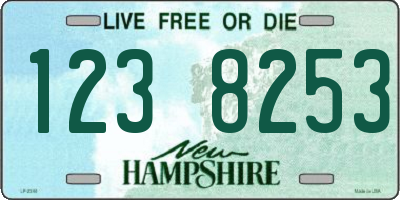 NH license plate 1238253
