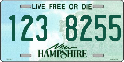 NH license plate 1238255