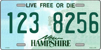 NH license plate 1238256