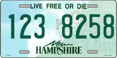 NH license plate 1238258