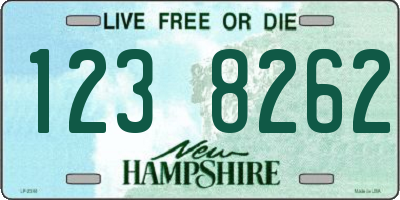 NH license plate 1238262