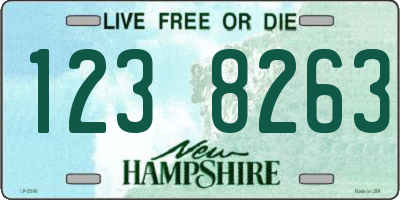 NH license plate 1238263