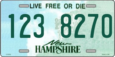 NH license plate 1238270