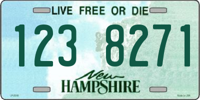 NH license plate 1238271