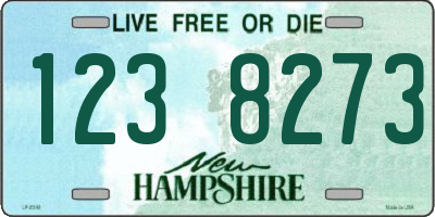 NH license plate 1238273