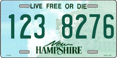 NH license plate 1238276