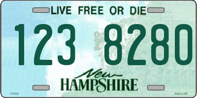 NH license plate 1238280