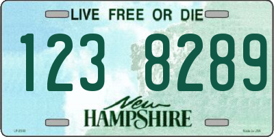 NH license plate 1238289