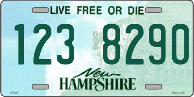 NH license plate 1238290