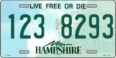 NH license plate 1238293