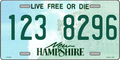 NH license plate 1238296