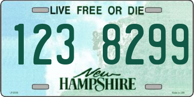 NH license plate 1238299