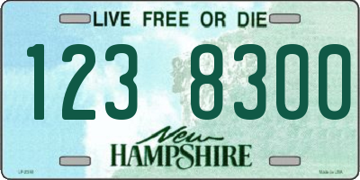 NH license plate 1238300
