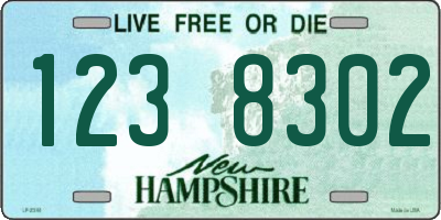 NH license plate 1238302
