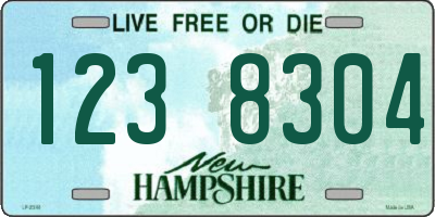 NH license plate 1238304