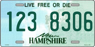 NH license plate 1238306