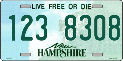 NH license plate 1238308