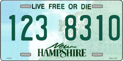 NH license plate 1238310