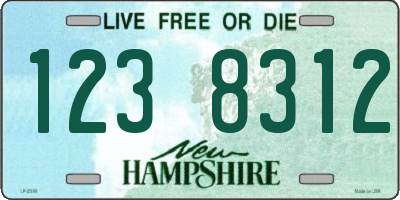 NH license plate 1238312